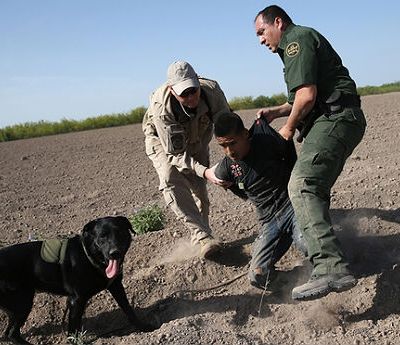 border-patrol-dog-illegal-alien1