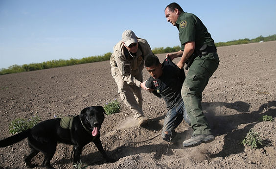 border-patrol-dog-illegal-alien1