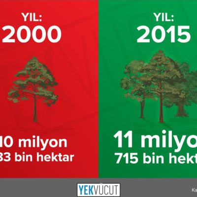 Türkiye ormanlık alanlarını arttırıyor