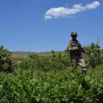 Terör örgütü PKK uyuşturucu’dan kazandığını teröre harcıyor