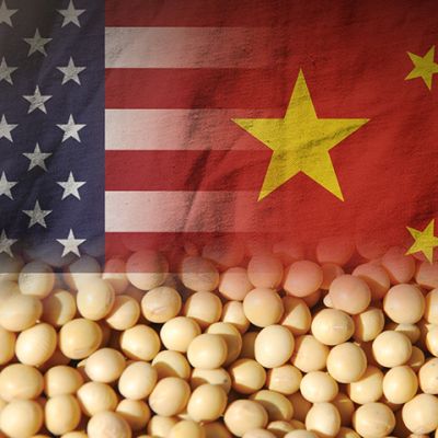 US-China-Soybeans