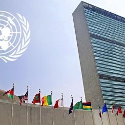 Birleşmiş Milletler UNCTAD büyüme