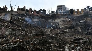 Yusufeli yangınının ardından devlet yaraları sarıyor