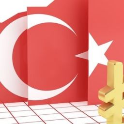 IMF Mali İzleme Raporu'na göre, salgın sürecinde Türkiye, G20'nin yükselen ekonomileri arasında GSYH'sine oranla en fazla likidite desteği sağlayan ülke oldu
