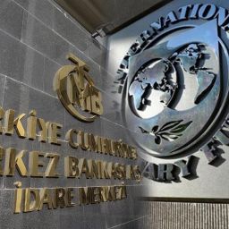 IMF SDR limitini Türkiye'ye yatırdı