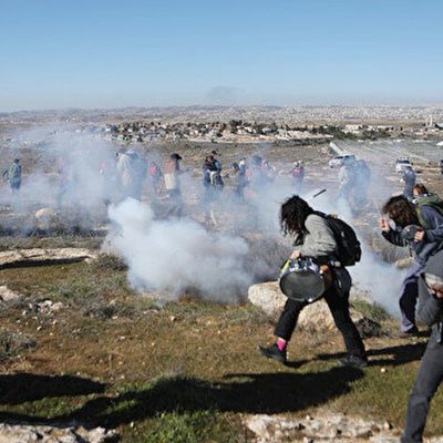 Yahudi yerleşimciler Filistinlilere saldırmaya devam ediyor
