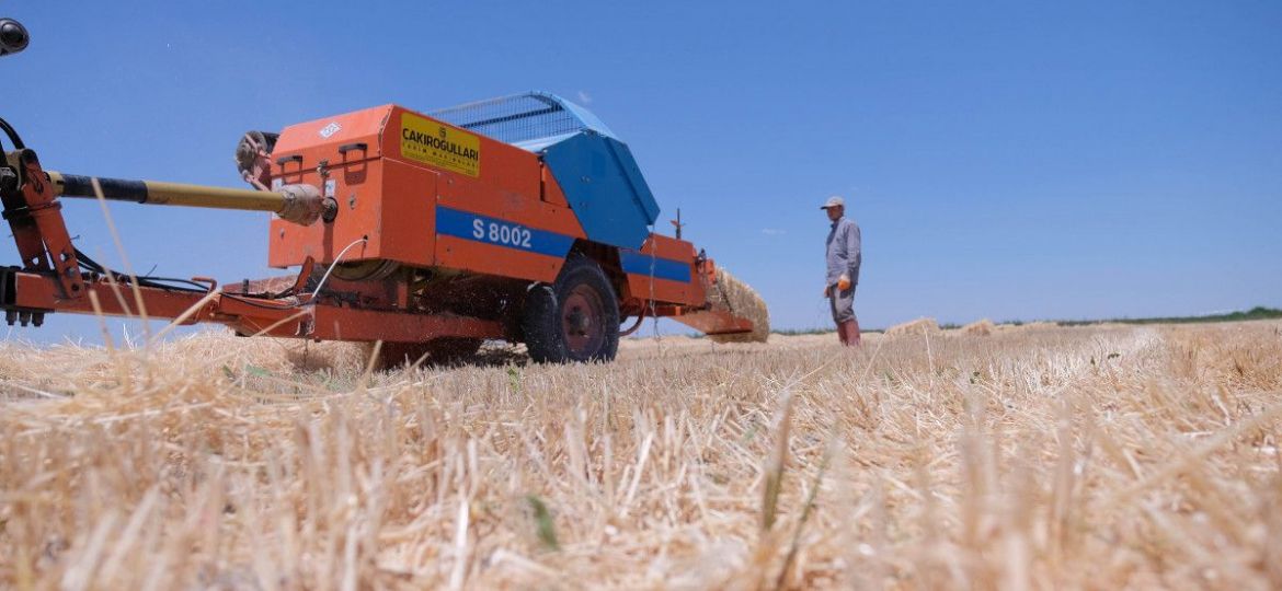 Türkiye’nin tahıl ambarında hasat 2,2 milyon ton