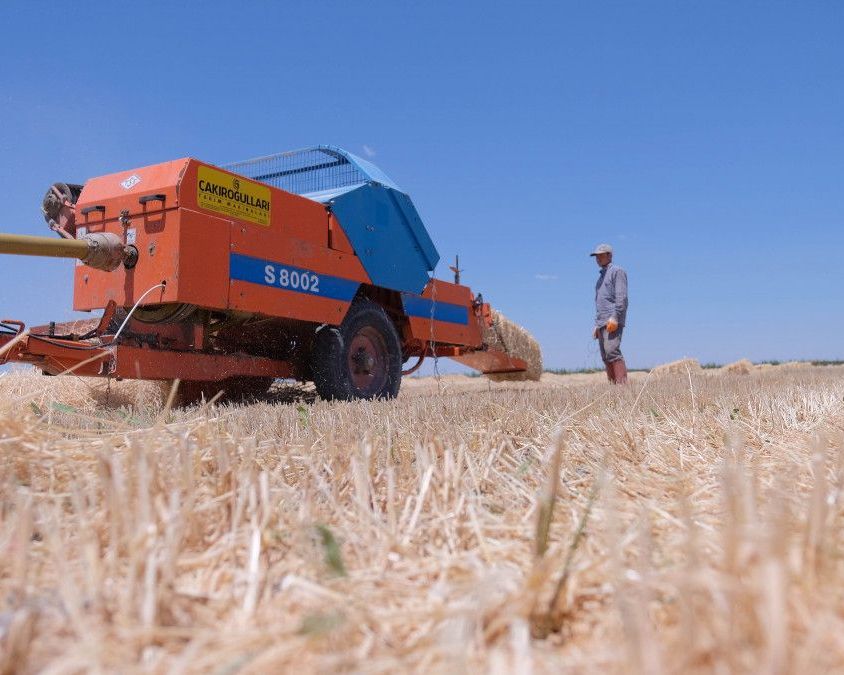 Türkiye’nin tahıl ambarında hasat 2,2 milyon ton